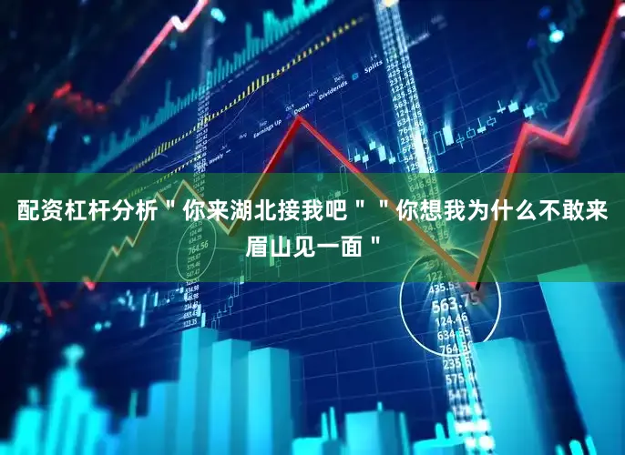 配资杠杆分析＂你来湖北接我吧＂＂你想我为什么不敢来眉山见一面＂