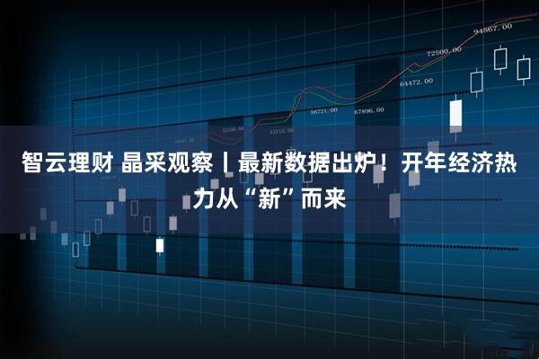 智云理财 晶采观察丨最新数据出炉！开年经济热力从“新”而来