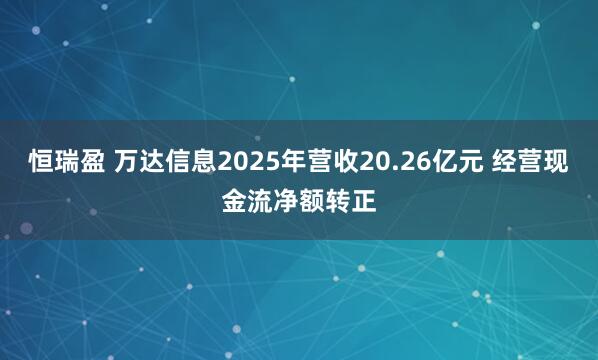 恒瑞盈 万达信息2025年营收20.26亿元 经营现金流净额转正