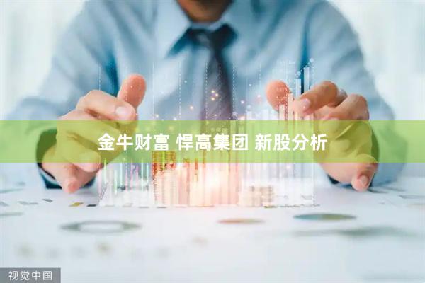 金牛财富 悍高集团 新股分析