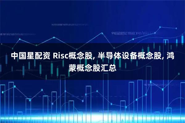 中国星配资 Risc概念股, 半导体设备概念股, 鸿蒙概念股汇总