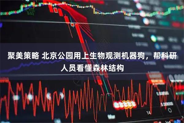 聚美策略 北京公园用上生物观测机器狗，帮科研人员看懂森林结构